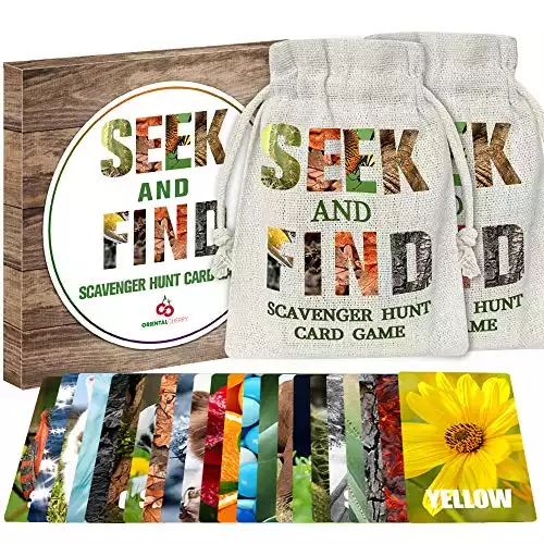 Seek and Find Scavenger Hunt Card Game