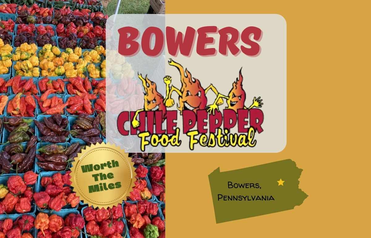hot peppers and the Bowers Chili Festival logo