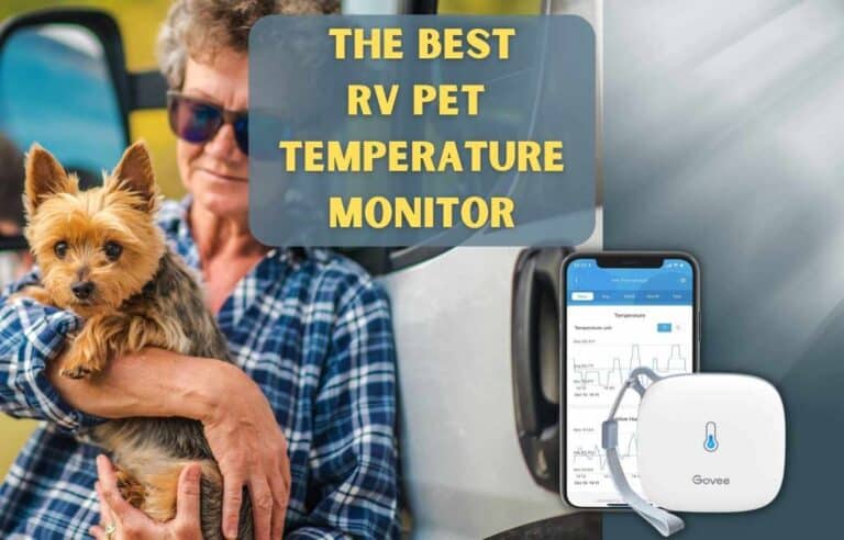 Woman holding her small dog next to a Govee wireless thermometer 
