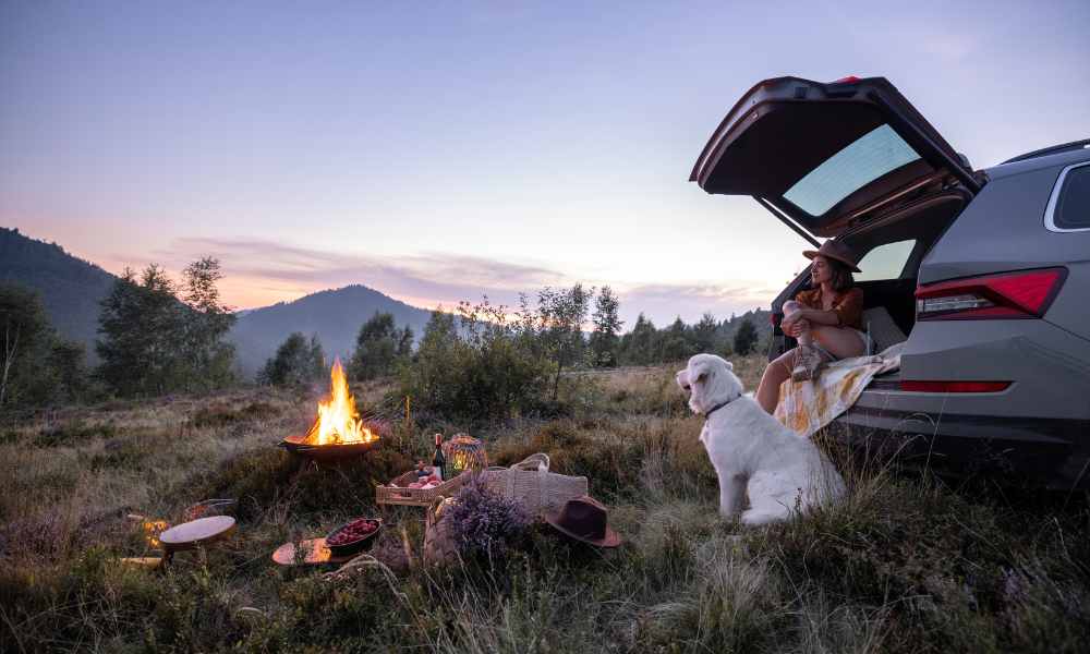 Car Camping 6