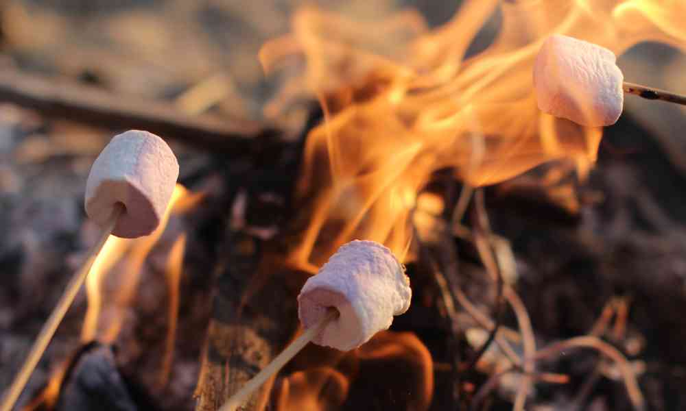 Marshmallows roasting on a campfire